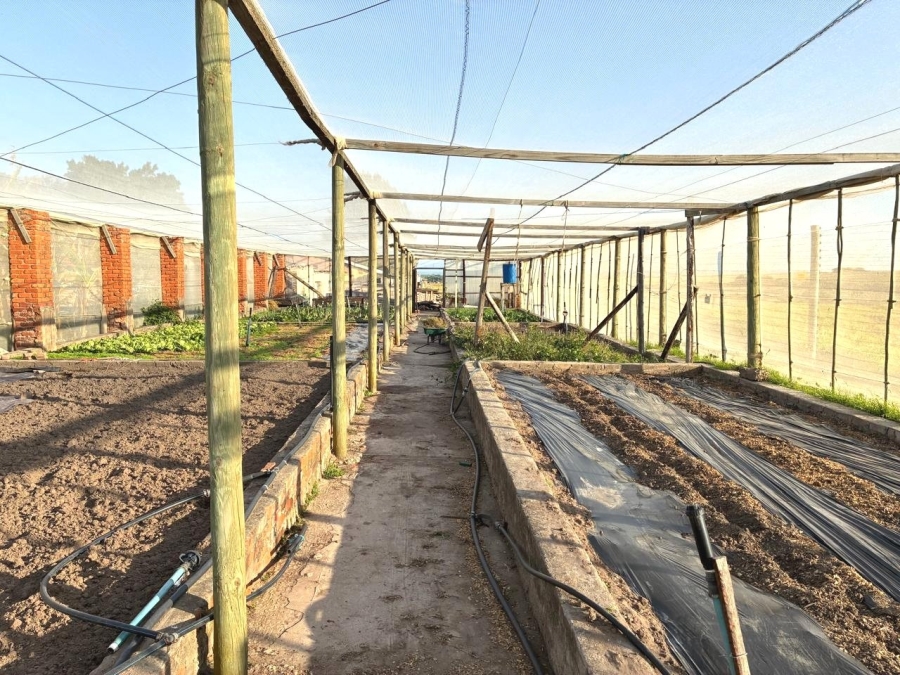 4 Bedroom Property for Sale in Humansdorp Rural Eastern Cape